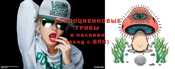 СК Бронницы