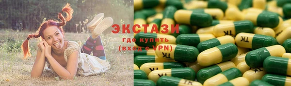 СК Бронницы
