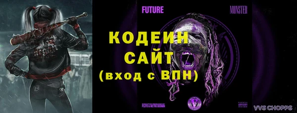 прущие грибы Бугульма