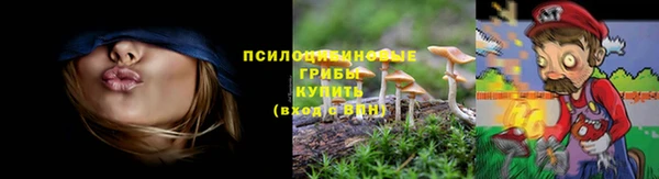 spice Алапаевск