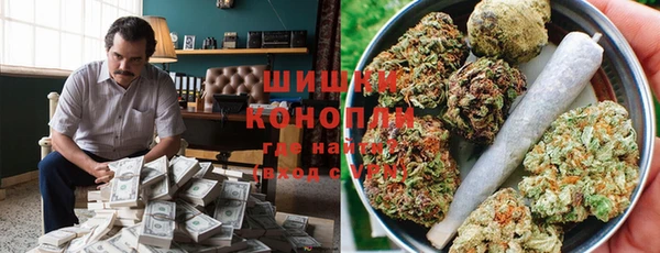 прущие грибы Бугульма
