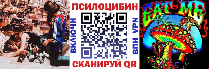 купить наркотики цена  Вичуга  Псилоцибиновые грибы Cubensis 